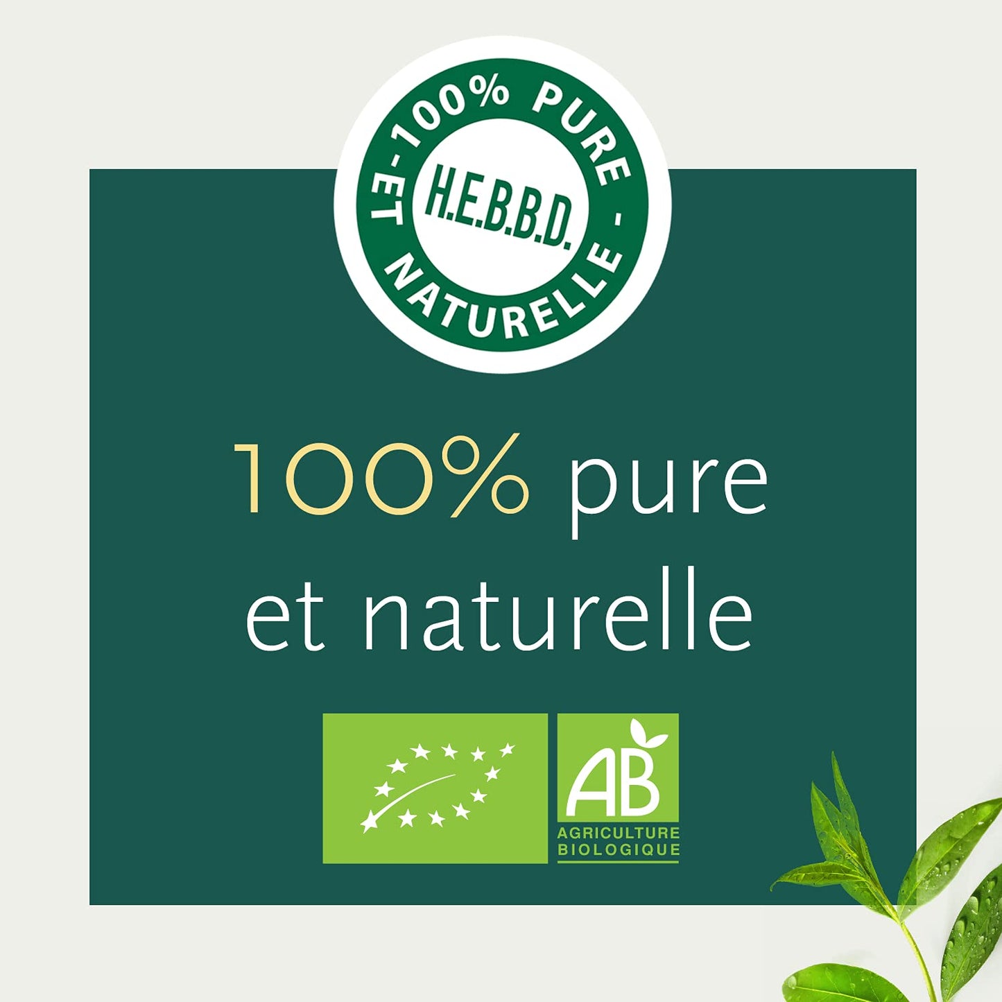 PHYTOSUN AROMS - Huile Essentielle de Tea Tree Bio - 100% pure et naturelle - 10ml